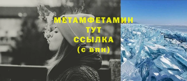 прущие грибы Коряжма