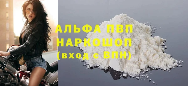 прущие грибы Коряжма