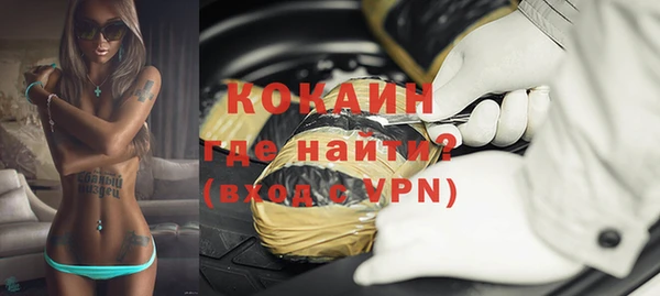 прущие грибы Коряжма