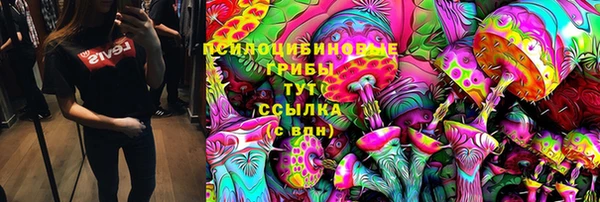 прущие грибы Коряжма