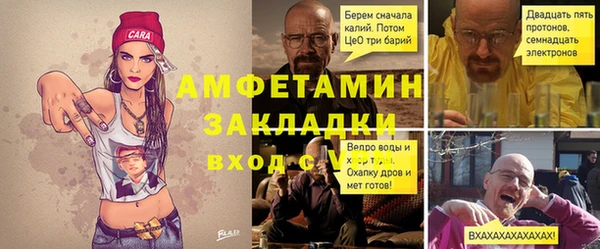 прущие грибы Коряжма
