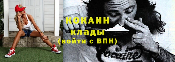 спайс Корсаков