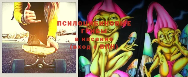 прущие грибы Коряжма