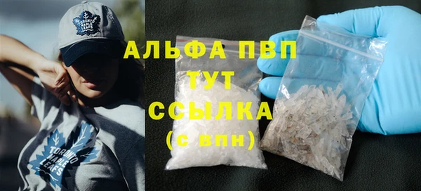 прущие грибы Коряжма