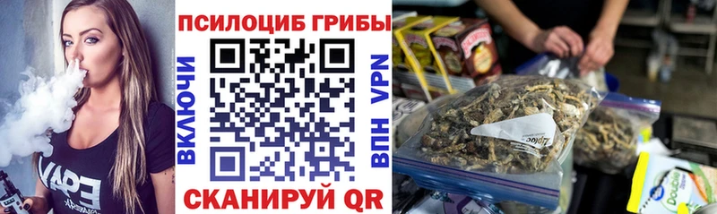 Псилоцибиновые грибы мухоморы  где продают наркотики  мориарти формула  Кузнецк 